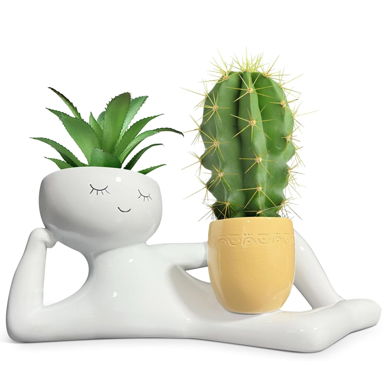 Echeveria Succulent - Vaso per Piante 'Lazy Little Guy',