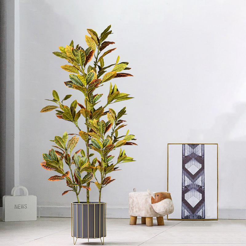 Ficus Lyrata Tree - 120 centimetri Grande Falso Ficus Albero