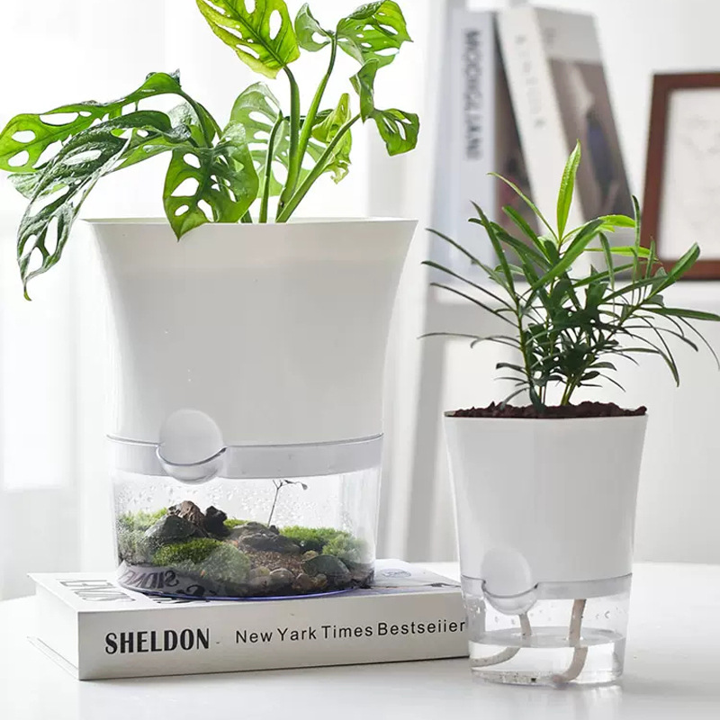 Aloe Vera Pot - Vasi per piante autoirriganti in plastica
