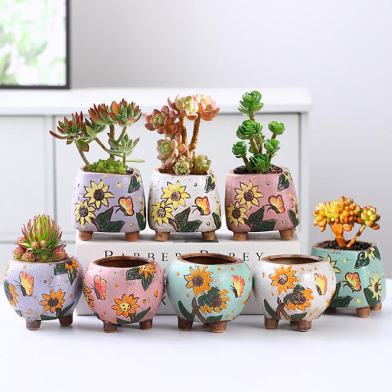 Vaso per piante grasse in stil - Echeveria Succulent recensione e prezzo