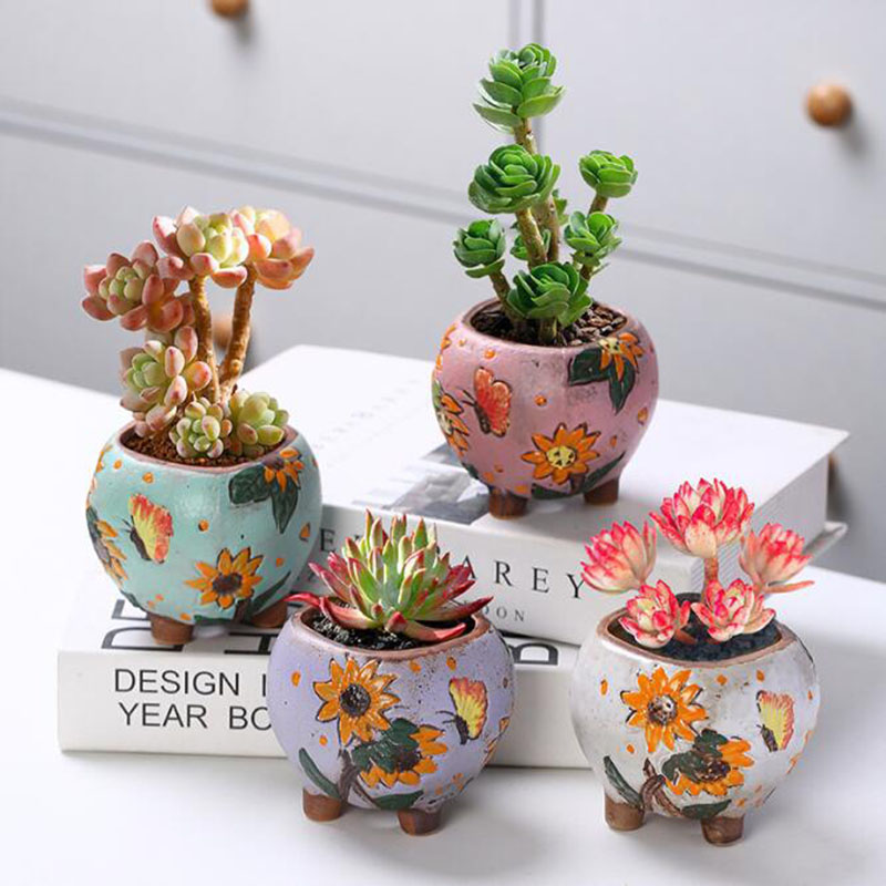 Vaso per piante grasse in stil - Echeveria Succulent recensione e prezzo