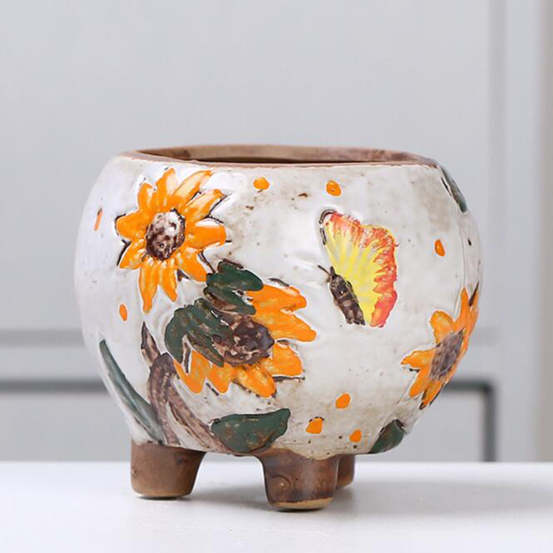 Vaso per piante grasse in stil - Echeveria Succulent recensione e prezzo