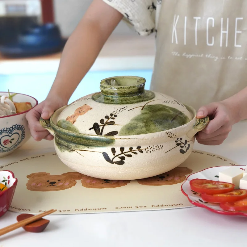 Pentola per casseruola domesti - Aloe Vera Pot recensione e prezzo