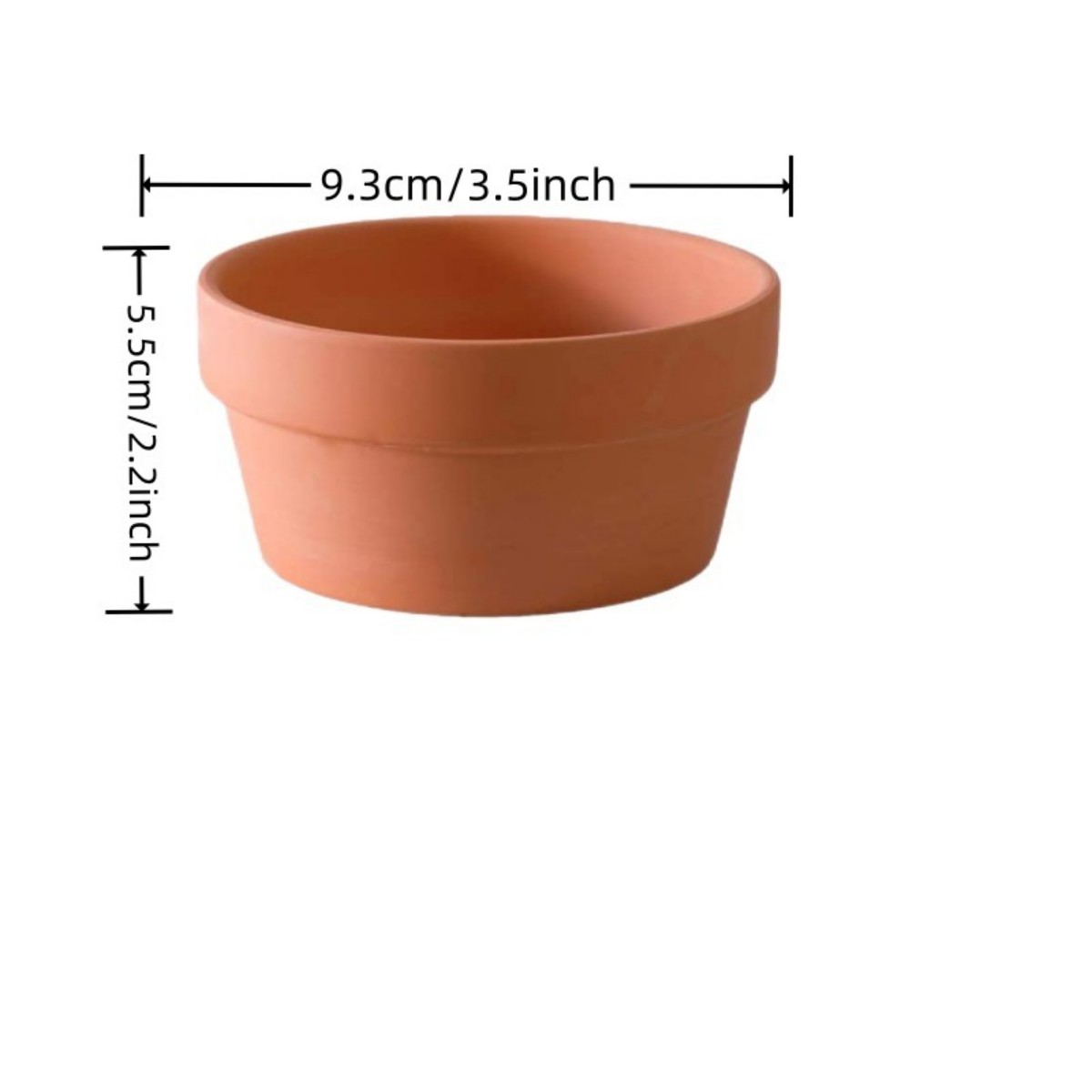 6 pezzi vasi in terracotta da  - Echeveria Succulent recensione e prezzo