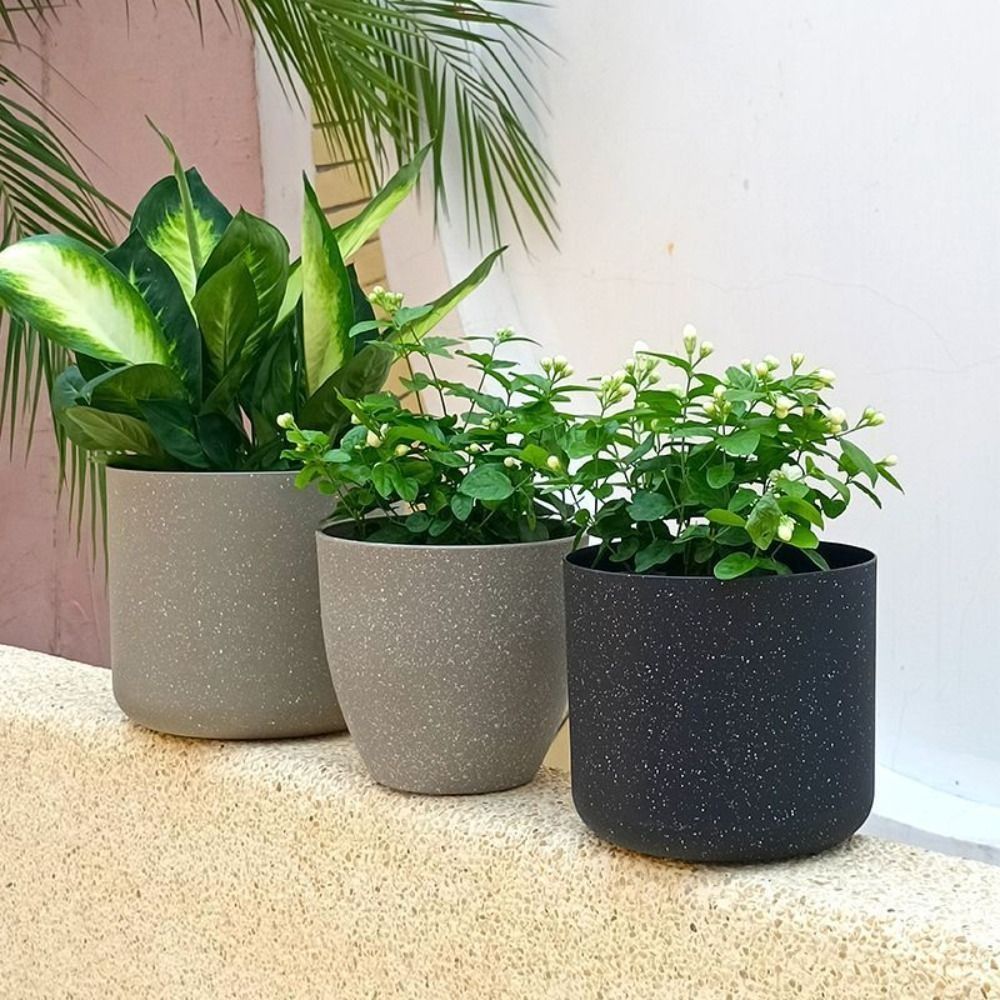 Vasi da fiori in pietra imitaz - Aloe Vera Pot recensione e prezzo
