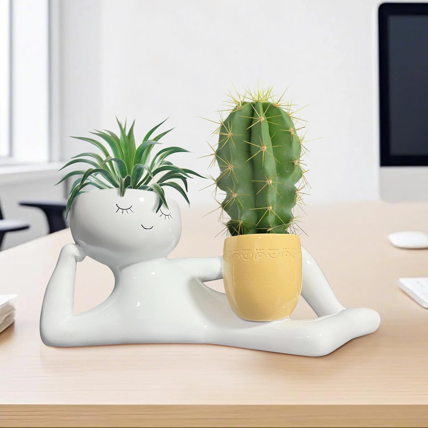 Vaso per Piante 'Lazy Little G - Echeveria Succulent recensione e prezzo