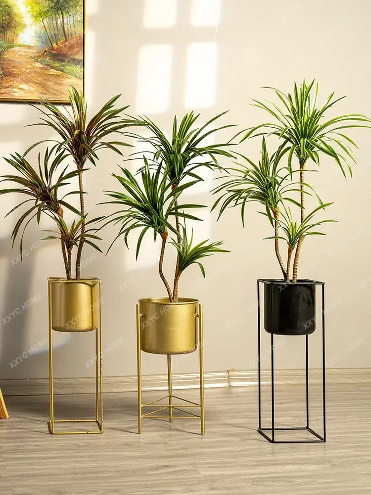 Albero Artificiale Dracaena Ma - Dracaena Marginata recensione e prezzo