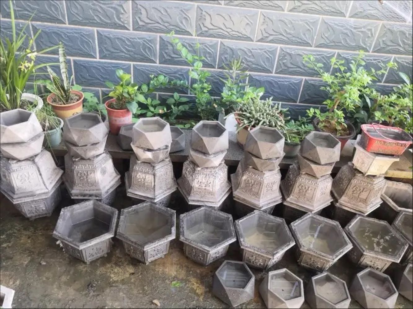 Stampo in Plastica per Vasi di - Echeveria Succulent recensione e prezzo