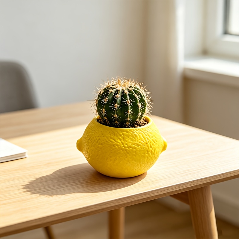 Vaso decorativo a forma di lim - Echeveria Succulent recensione e prezzo