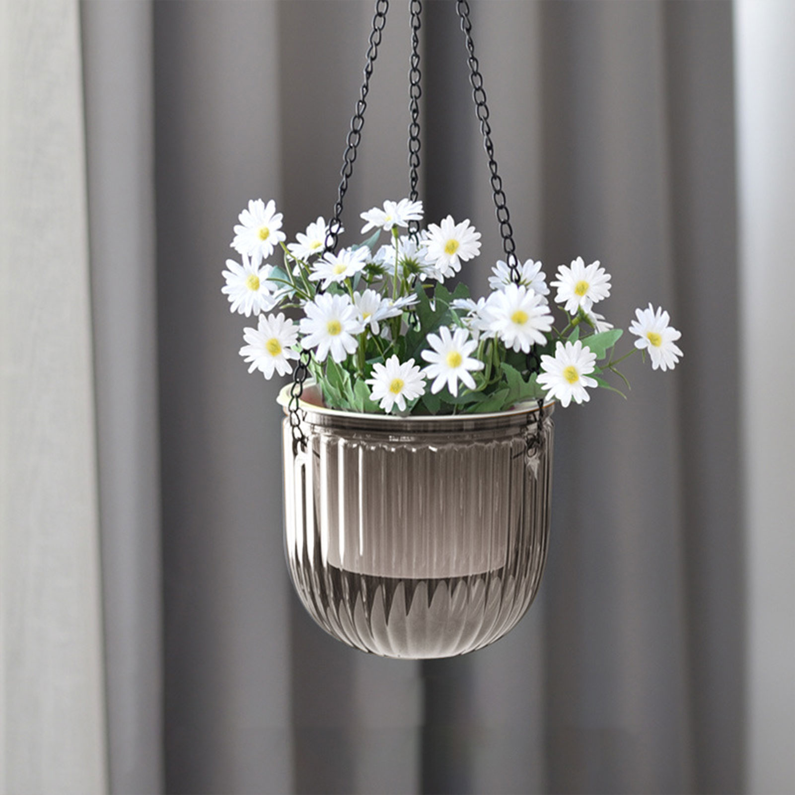 Vasi per Piante con Irrigazion - Spider Plant Hanging recensione e prezzo