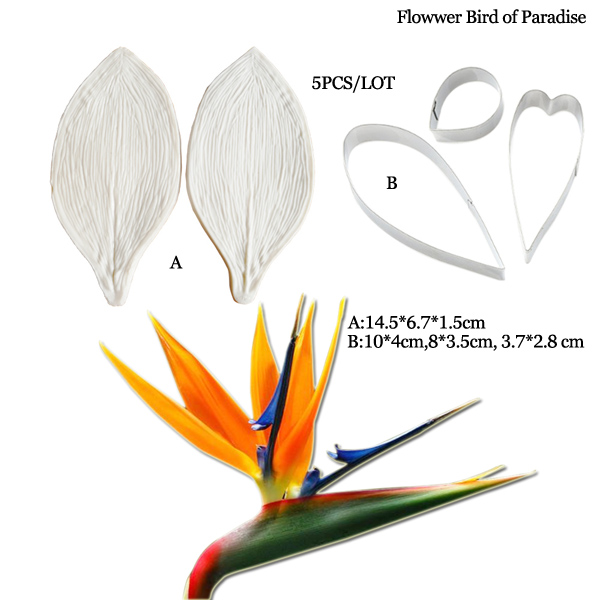 Grande Gumpaste Strelitzia Bir - Bird Paradise Strelitzia recensione e prezzo