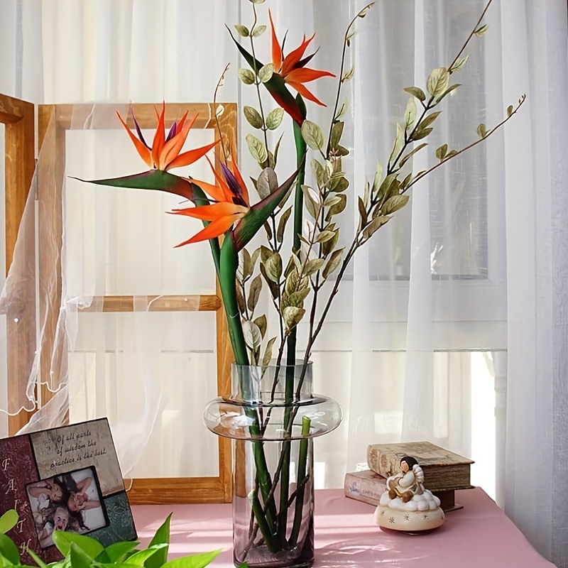 3 pezzi di fiori di uccelli ce - Bird Paradise Strelitzia recensione e prezzo