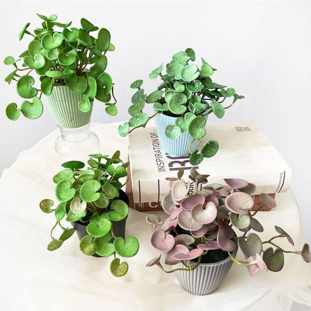 Colla morbida Pianta artificia - Echeveria Succulent recensione e prezzo