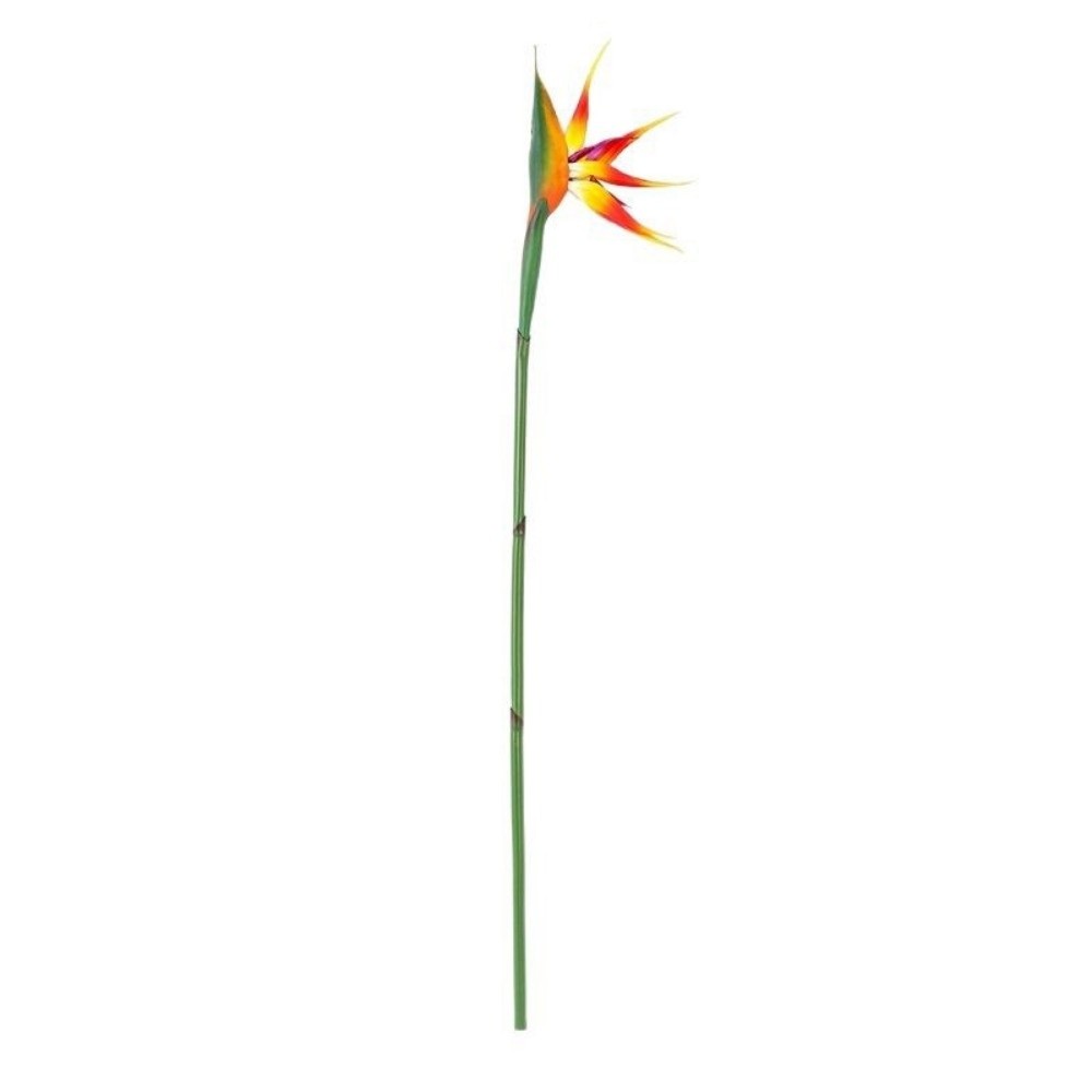 Piante Artificiali Strelitzia  - Bird Paradise Strelitzia recensione e prezzo