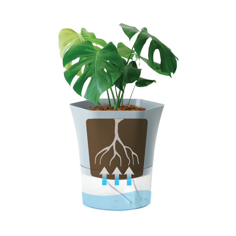 Vasi per piante autoirriganti  - Aloe Vera Pot recensione e prezzo