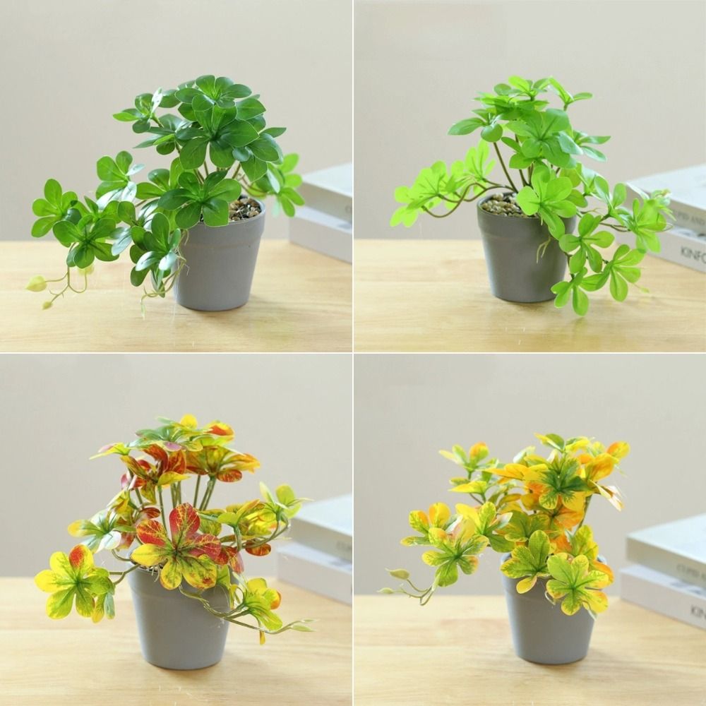 Bonsai Artificiale, Pianta Fin - Spider Plant Hanging recensione e prezzo