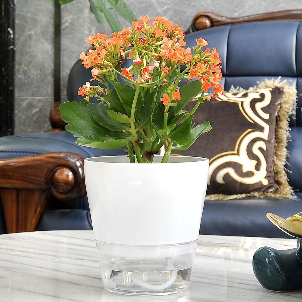 Fiore pigro con foro di drenag - Aloe Vera Pot recensione e prezzo