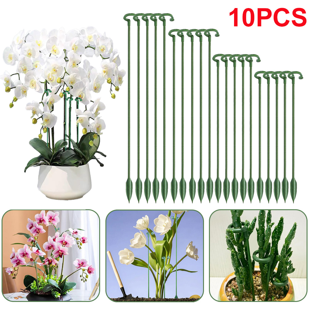 5/10 Pezzi Supporti per Piante - Echeveria Succulent recensione e prezzo