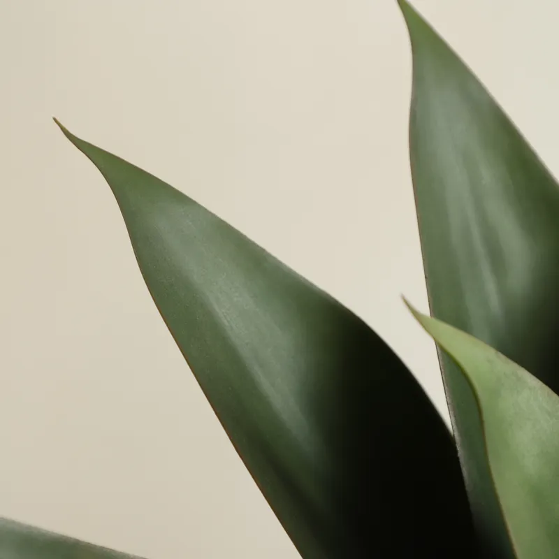 Pianta Artificiale di Aloe Ver - Aloe Vera Pot recensione e prezzo