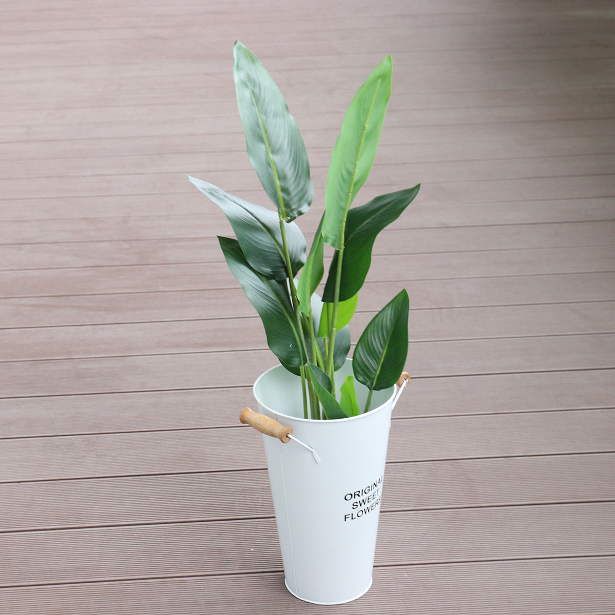 Vaso in Ferro Battuto per Fior - Aloe Vera Pot recensione e prezzo